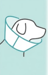 Protect