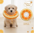 Plush Orange Slice Pet Recovery Collar | Soft & Adjustable Cone for Cats & Small Dogs